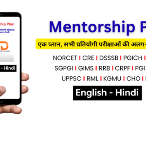 Mentorship Plan
