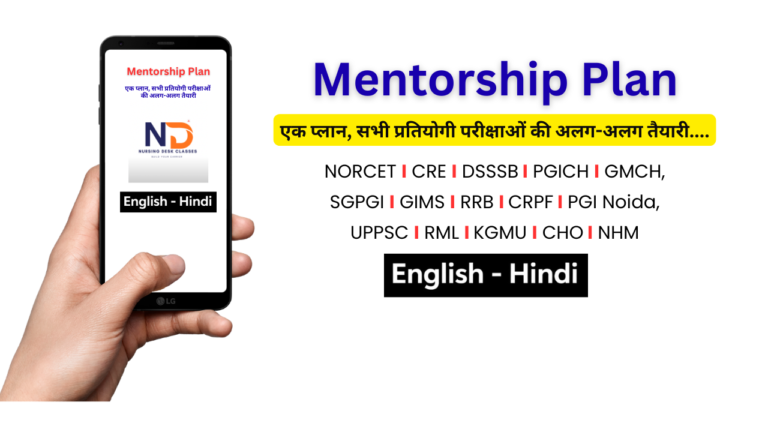 Mentorship Plan